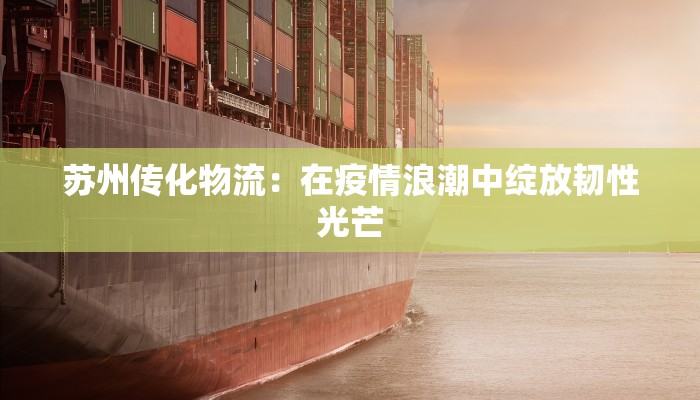 苏州传化物流：在疫情浪潮中绽放韧性光芒