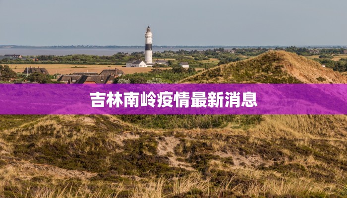 吉林南岭疫情最新消息