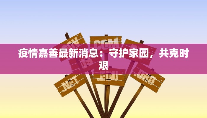疫情嘉善最新消息：守护家园，共克时艰