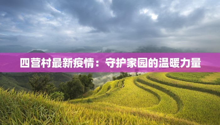 四营村最新疫情：守护家园的温暖力量