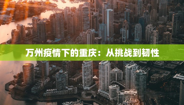 万州疫情下的重庆：从挑战到韧性