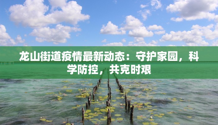 天元疫情最新：守护健康，科学防控新篇章