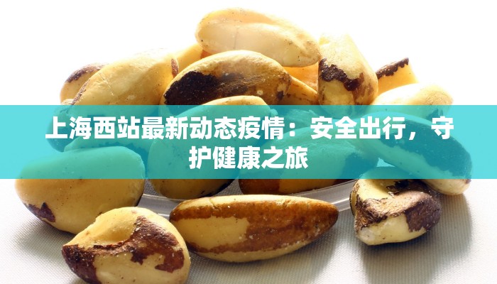 上海西站最新动态疫情：安全出行，守护健康之旅