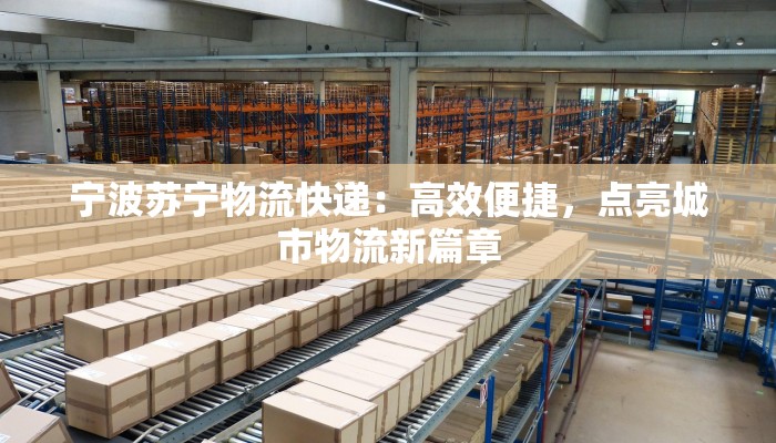 宁波苏宁物流快递：高效便捷，点亮城市物流新篇章