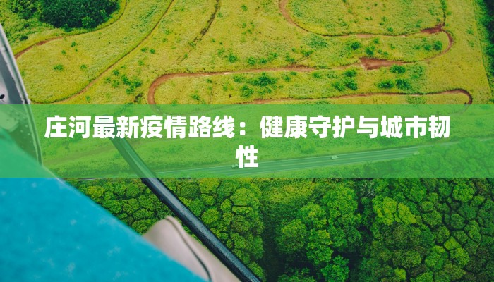 庄河最新疫情路线：健康守护与城市韧性