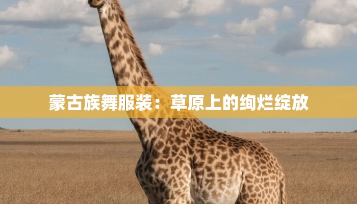 蒙古族舞服装：草原上的绚烂绽放