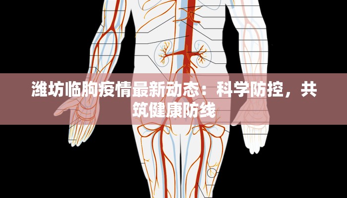潍坊临朐疫情最新动态：科学防控，共筑健康防线