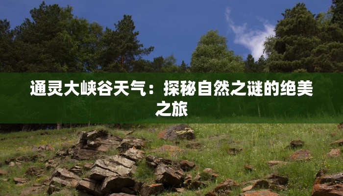 探秘沙井批发服装市场：时尚潮流的批发天堂