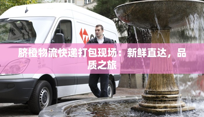 脐橙物流快递打包现场：新鲜直达，品质之旅