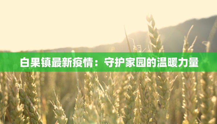 白果镇最新疫情:守护家园的温暖力量 白果镇最新疫情:守护家园的温暖力量