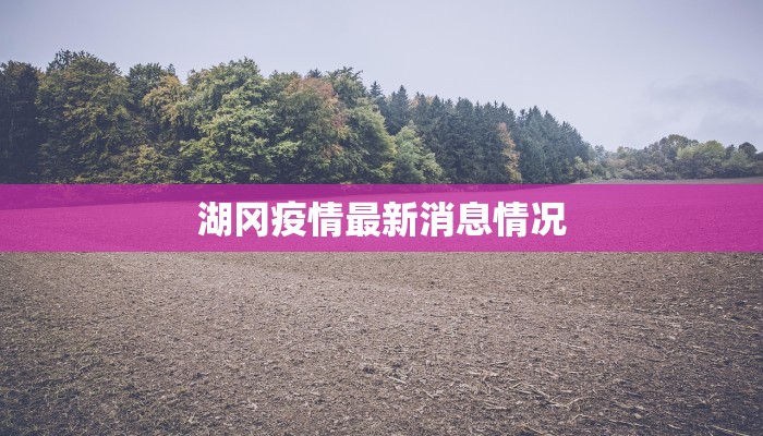 湖冈疫情最新消息情况