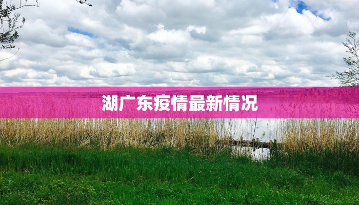 湖广东疫情最新情况