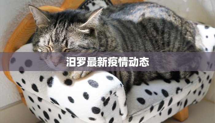 汨罗最新疫情动态 汨罗最新疫情动态