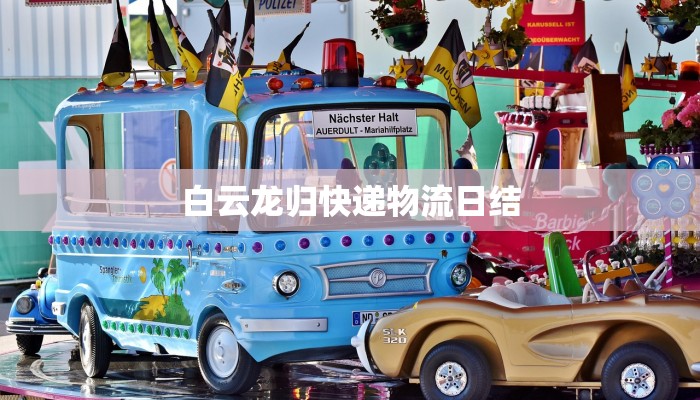 白云龙归快递物流日结