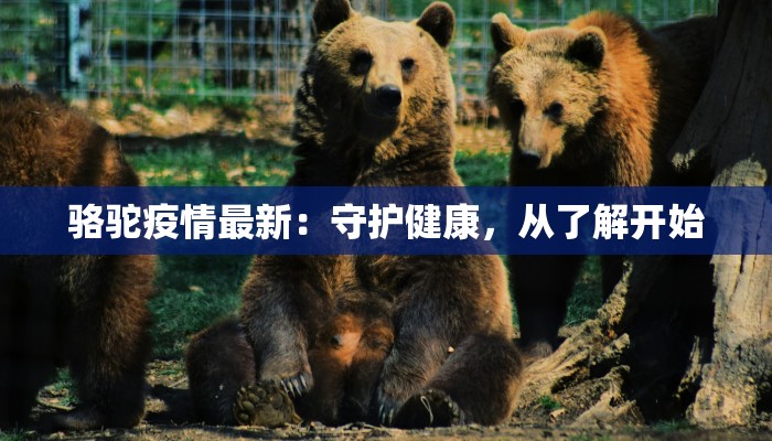 骆驼疫情最新:守护健康,从了解开始 骆驼疫情最新:守护健康,从了解开始